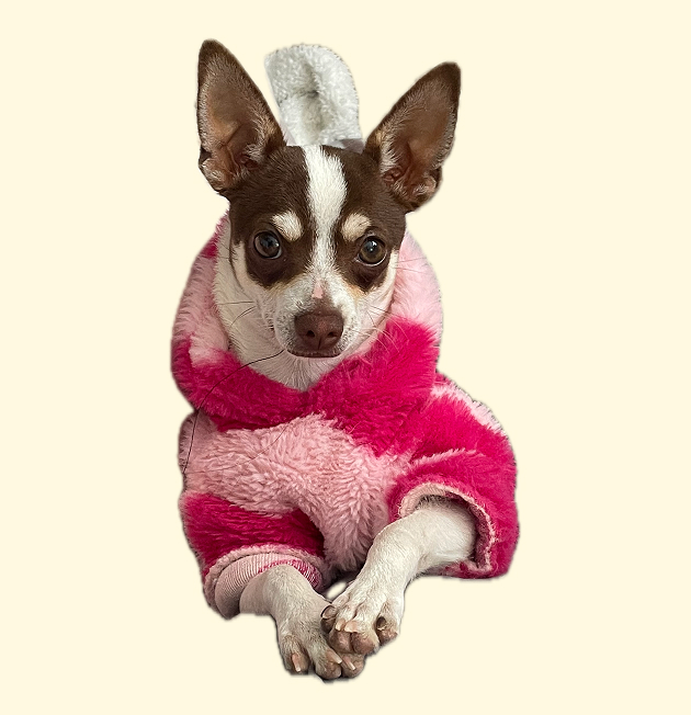 Suéter rosa de corazones