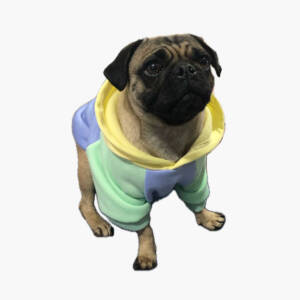 Ropa bonita para perros